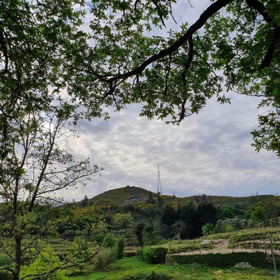 Moes Quinta De Cerdeiroヴィラ エクステリア 写真