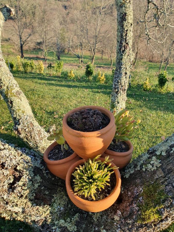 Moes Quinta De Cerdeiroヴィラ エクステリア 写真